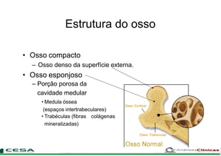 Estrutura do osso
• Osso compacto
– Osso denso da superfície externa.
• Osso esponjoso
– Porção porosa da
cavidade medular
• Medula óssea
(espaços intertrabeculares)
• Trabéculas (fibras colágenas
mineralizadas)
 