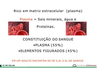 Rico em matriz extracelular (plasma)
Plasma = Sais minerais, água e
Proteínas.
CONSTITUIÇÃO DO SANGUE
•PLASMA (55%)
•ELEMENTOS FIGURADOS (45%)
EM UM ADULTO ENCONTRA-SE DE 5,5L A 6L DE SANGUE
 