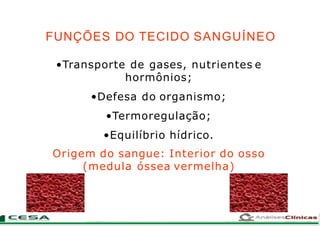 FUNÇÕES DO TECIDO SANGUÍNEO
•Transporte de gases, nutrientes e
hormônios;
•Defesa do organismo;
•Termoregulação;
•Equilíbrio hídrico.
Origem do sangue: Interior do osso
(medula óssea vermelha)
 