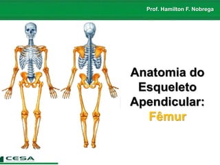 Prof. Hamilton F. Nobrega
Anatomia do
Esqueleto
Apendicular:
Fêmur
 