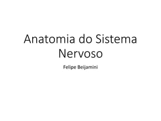 Anatomia do Sistema
Nervoso
Felipe Beijamini
 