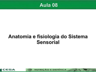 Aula 08   sistema sensorial - anatomia e fisiologia