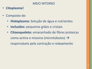 14
MEIO INTERNO
• Citoplasma!
• Composto de:
• Hialoplasma: Solução de água e nutrientes
• Inclusões: pequenos grãos e cristais
• Citoesqueleto: emaranhado de fibras proteicas
como actina e miosina (microtúbulos) 
responsáveis pela contração e relaxamento
 