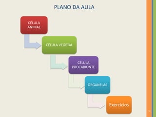 3
CÉLULA
ANIMAL
CÉLULA VEGETAL
CÉLULA
PROCARIONTE
ORGANELAS
Exercícios
PLANO DA AULA
 