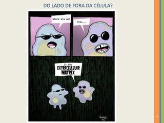 8
DO LADO DE FORA DA CÉLULA?
 