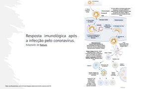 https://profissaobiotec.com.br/5-tecnologias-desenvolvimento-vacina-covid19/
Resposta imunológica após
a infecção pelo coronavírus.
Adaptado de Nature.
 