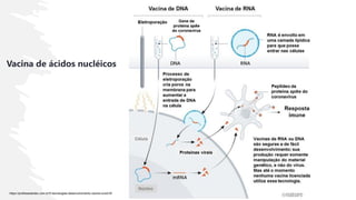 Vacina de ácidos nucléicos
https://profissaobiotec.com.br/5-tecnologias-desenvolvimento-vacina-covid19/
 