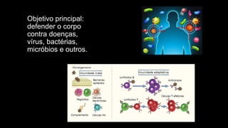 Objetivo principal:
defender o corpo
contra doenças,
vírus, bactérias,
micróbios e outros.
 