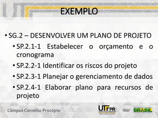 EXEMPLO
• SG.2 – DESENVOLVER UM PLANO DE PROJETO
• SP.2.1-1 Estabelecer o orçamento e o
cronograma
• SP.2.2-1 Identificar os riscos do projeto
• SP.2.3-1 Planejar o gerenciamento de dados
• SP.2.4-1 Elaborar plano para recursos de
projeto
 