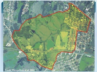 Fonte: Rampelloto et al. 2001
 