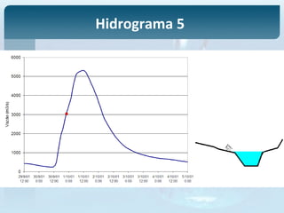 Hidrograma 5
 
