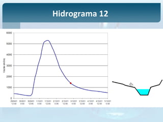 Hidrograma 12
 