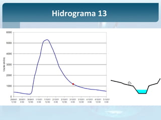 Hidrograma 13
 