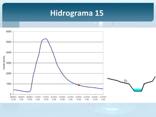 Hidrograma 15
 