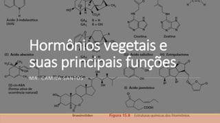 Hormônios vegetais e
suas principais funções
MA. CAMILA SANTOS
 