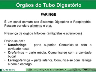 FARINGE
É um canal comum aos Sistemas Digestório e Respiratório.
Passam por ela o alimento e o ar.
Presença de órgãos linfoides (amígdalas e adenoides)
Divide-se em :
• Nasofaringe – parte superior. Comunica-se com a
cavidade nasal
• Orofaringe – parte média. Comunica-se com a cavidade
bucal
• Laringofaringe – parte inferior. Comunica-se com laringe
e com o esôfago.
 