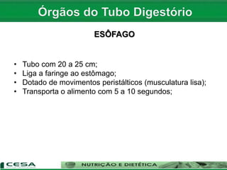 ESÔFAGO
• Tubo com 20 a 25 cm;
• Liga a faringe ao estômago;
• Dotado de movimentos peristálticos (musculatura lisa);
• Transporta o alimento com 5 a 10 segundos;
 