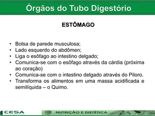 ESTÔMAGO
• Bolsa de parede musculosa;
• Lado esquerdo do abdômen;
• Liga o esôfago ao intestino delgado;
• Comunica-se com o esôfago através da cárdia (próxima
ao coração)
• Comunica-se com o intestino delgado através do Piloro.
• Transforma os alimentos em uma massa acidificada e
semilíquida – o Quimo.
 