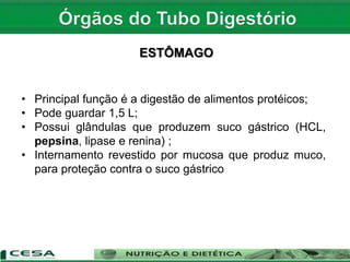 ESTÔMAGO
• Principal função é a digestão de alimentos protéicos;
• Pode guardar 1,5 L;
• Possui glândulas que produzem suco gástrico (HCL,
pepsina, lipase e renina) ;
• Internamento revestido por mucosa que produz muco,
para proteção contra o suco gástrico
 