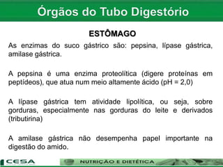 ESTÔMAGO
As enzimas do suco gástrico são: pepsina, lípase gástrica,
amilase gástrica.
A pepsina é uma enzima proteolítica (digere proteínas em
peptídeos), que atua num meio altamente ácido (pH = 2,0)
A lípase gástrica tem atividade lipolítica, ou seja, sobre
gorduras, especialmente nas gorduras do leite e derivados
(tributirina)
A amilase gástrica não desempenha papel importante na
digestão do amido.
 