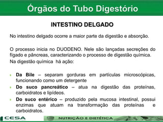 INTESTINO DELGADO
No intestino delgado ocorre a maior parte da digestão e absorção.
O processo inicia no DUODENO. Nele são lançadas secreções do
fígado e pâncreas, caracterizando o processo de digestão química.
Na digestão química há ação:
 Da Bile – separam gorduras em partículas microscópicas,
funcionando como um detergente
 Do suco pancreático – atua na digestão das proteínas,
carboidratos e lipídeos.
 Do suco entérico – produzido pela mucosa intestinal, possui
enzimas que atuam na transformação das proteínas e
carboidratos.
 