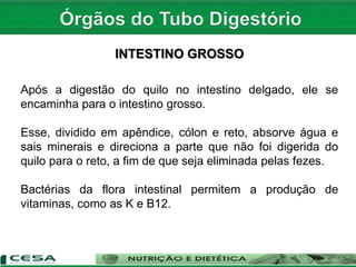 INTESTINO GROSSO
Após a digestão do quilo no intestino delgado, ele se
encaminha para o intestino grosso.
Esse, dividido em apêndice, cólon e reto, absorve água e
sais minerais e direciona a parte que não foi digerida do
quilo para o reto, a fim de que seja eliminada pelas fezes.
Bactérias da flora intestinal permitem a produção de
vitaminas, como as K e B12.
 