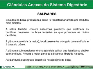 SALIVARES
Situadas na boca, produzem a saliva  transformar amido em produtos
mais simples;
A saliva também contém anticorpos protéicos que destroem as
bactérias presentes na boca inclusive as que provocam as cáries
dentárias.
A glândula parótida (a maior), localiza-se entre o ângulo da mandíbula e
à base do crânio.
A glândula submandibular é uma glândula salivar que localiza-se abaixo
da mandíbula. Produz a maior parte da saliva total liberada na boca.
As glândulas sublinguais situam-se no assoalho da boca.
 