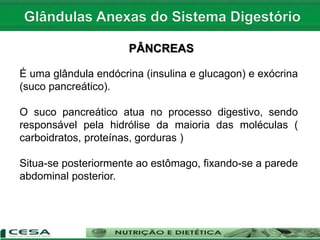 PÂNCREAS
É uma glândula endócrina (insulina e glucagon) e exócrina
(suco pancreático).
O suco pancreático atua no processo digestivo, sendo
responsável pela hidrólise da maioria das moléculas (
carboidratos, proteínas, gorduras )
Situa-se posteriormente ao estômago, fixando-se a parede
abdominal posterior.
 