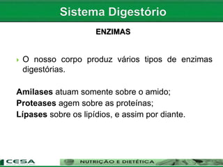  O nosso corpo produz vários tipos de enzimas
digestórias.
Amilases atuam somente sobre o amido;
Proteases agem sobre as proteínas;
Lípases sobre os lipídios, e assim por diante.
ENZIMAS
 