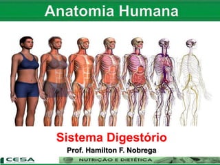 Sistema Digestório
Prof. Hamilton F. Nobrega
 