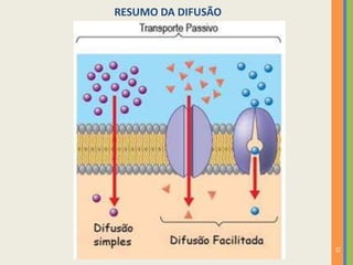 15
RESUMO DA DIFUSÃO
 