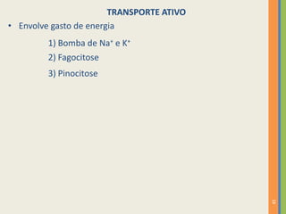 18
• Envolve gasto de energia
TRANSPORTE ATIVO
2) Fagocitose
3) Pinocitose
1) Bomba de Na+ e K+
 