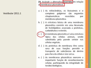 32
Vestibular 2011.1
 