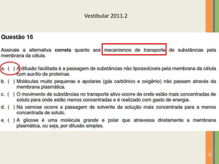 34
Vestibular 2011.2
 