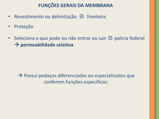 FUNÇÕES GERAIS DA MEMBRANA
• Revestimento ou delimitação ≅ fronteira
• Proteção
• Seleciona o que pode ou não entrar ou sair ≅ polícia federal
 permeabilidade seletiva
 Possui pedaços diferenciados ou especializados que
conferem funções específicas:
 
