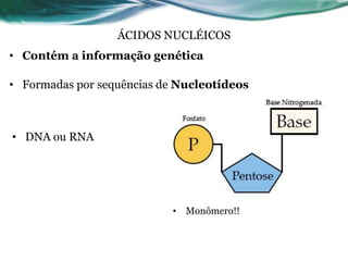 10
ÁCIDOS NUCLÉICOS
• Contém a informação genética
• Formadas por sequências de Nucleotídeos
• Monômero!!
• DNA ou RNA
 