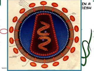 Vestibular 2012.2
20
 