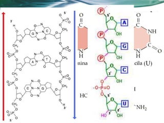 Vestibular 2012.1
23
 