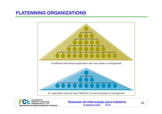 Sistemas de Informação para Indústria
© António Grilo 2016Departamento de Engenharia Mecânica e Industrial
23
FLATENNING ORGANIZATIONS
 