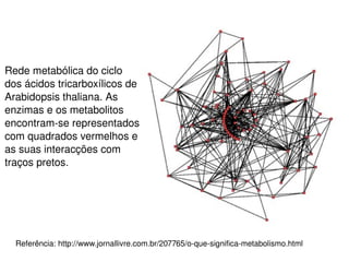 O que vem a ser sistêmico? Há uma mudança significativa de ênfase: Das partes para o todo; 