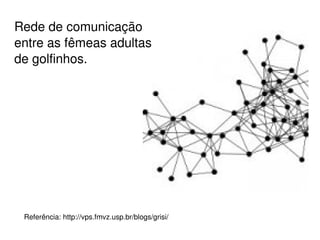Dos objetos para os relacionamentos:  mudamos de foco de coleções de objetos para redes de relacionamentos; 