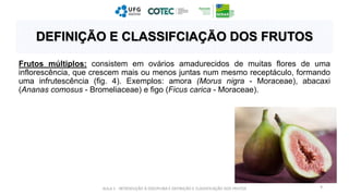 Frutos múltiplos: consistem em ovários amadurecidos de muitas flores de uma
inflorescência, que crescem mais ou menos juntas num mesmo receptáculo, formando
uma infrutescência (fig. 4). Exemplos: amora (Morus nigra - Moraceae), abacaxi
(Ananas comosus - Bromeliaceae) e figo (Ficus carica - Moraceae).
AULA 1 - INTRODUÇÃO À DISCIPLINA E DEFINIÇÃO E CLASSIFICAÇÃO DOS FRUTOS 9
DEFINIÇÃO E CLASSIFCIAÇÃO DOS FRUTOS
 