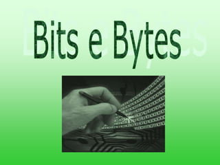 Bits e Bytes