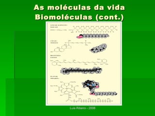 As moléculas da vida Biomoléculas (cont.) 