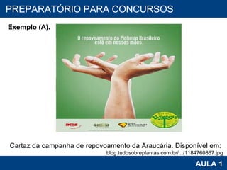 PROAB 2010 AULA 1 PREPARATÓRIO PARA CONCURSOS Cartaz da campanha de repovoamento da Araucária. Disponível em:  blog.tudosobreplantas.com.br/.../1184760867.jpg Exemplo (A). 