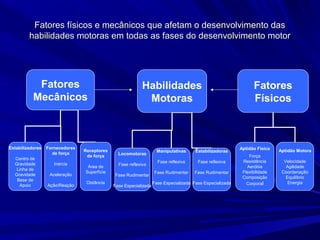 Fatores físicos e mecânicos que afetam o desenvolvimento dasFatores físicos e mecânicos que afetam o desenvolvimento das
habilidades motoras em todas as fases do desenvolvimento motorhabilidades motoras em todas as fases do desenvolvimento motor
Fatores
Mecânicos
Estabilizadores
Centro de
Gravidade
Linha de
Gravidade
Base de
Apoio
Fornecedores
de força
Inércia
Aceleração
Ação/Reação
Receptores
de força
Área de
Superfície
Distância
Habilidades
Motoras
Locomotoras
Fase reflexiva
Fase Rudimentar
Fase Especializada
Manipulativas
Fase reflexiva
Fase Rudimentar
Fase Especializada
Estabilizadoras
Fase reflexiva
Fase Rudimentar
Fase Especializada
Fatores
Físicos
Aptidão Física
Força
Resistência
Aeróbia
Flexibilidade
Composição
Corporal
Aptidão Motora
Velocidade
Agilidade
Coordenação
Equilíbrio
Energia
 