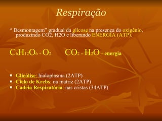 Respiração “  Desmontagem” gradual da  glicose  na presença do  oxigênio , produzindo CO2, H2O e liberando  ENERGIA (ATP). C 6 H 12 O 6 +  O 2  CO 2 +  H 2 O  +  energia   Glicólise :  hialoplasma (2ATP) Ciclo de Krebs :  na matriz (2ATP) Cadeia Respiratória :  nas cristas (34ATP)   