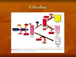 Glicolise 