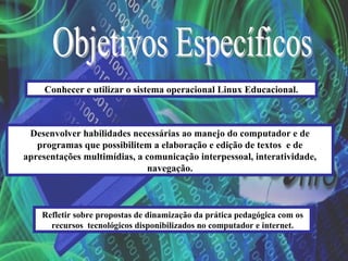 Conhecer e utilizar o sistema operacional Linux Educacional.



 Desenvolver habilidades necessárias ao manejo do computador e de
   programas que possibilitem a elaboração e edição de textos e de
apresentações multimídias, a comunicação interpessoal, interatividade,
                             navegação.



    Refletir sobre propostas de dinamização da prática pedagógica com os
      recursos tecnológicos disponibilizados no computador e internet.
 