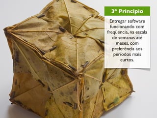3º Princípio
  Entregar software
  funcionando com
freqüencia, na escala
   de semanas até
     meses, com
   preferência aos
    períodos mais
       curtos.
 